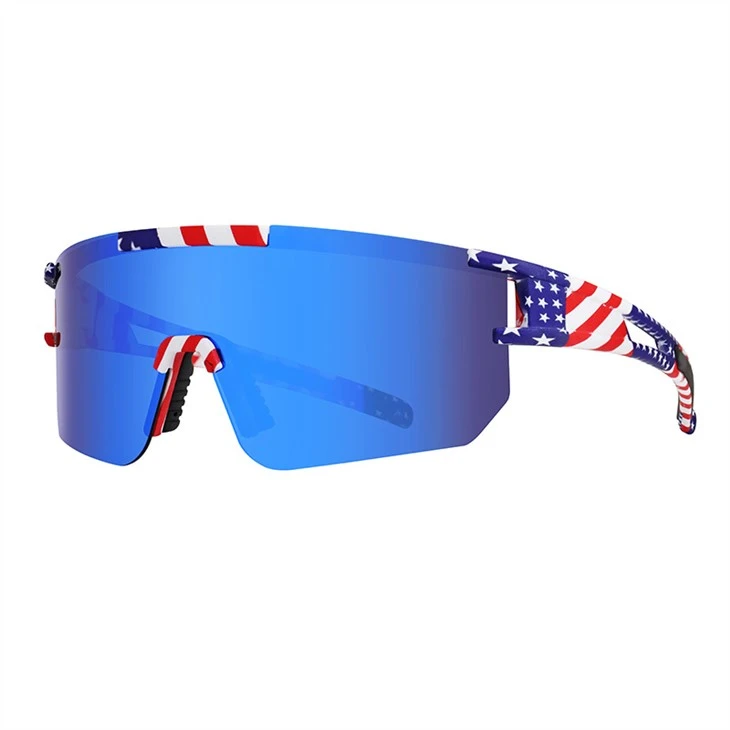 Lunettes de soleil polarisées pour homme Viper Sunglases
